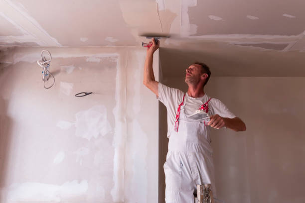 Best Drywall Patching  in Deenwood, GA